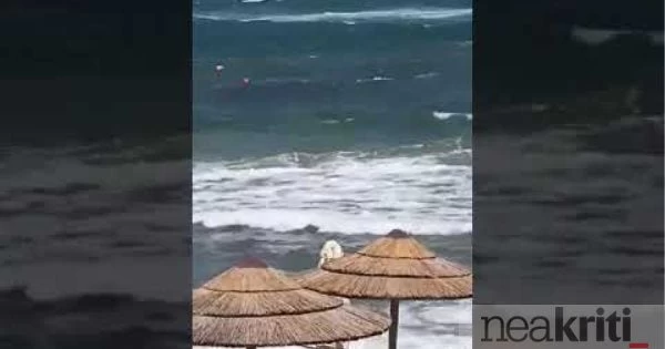 Κρήτη: Έζησαν τον εφιάλτη ενώ τους «κατάπιναν» τα κύματα – Δείτε βίντεο της διάσωσης